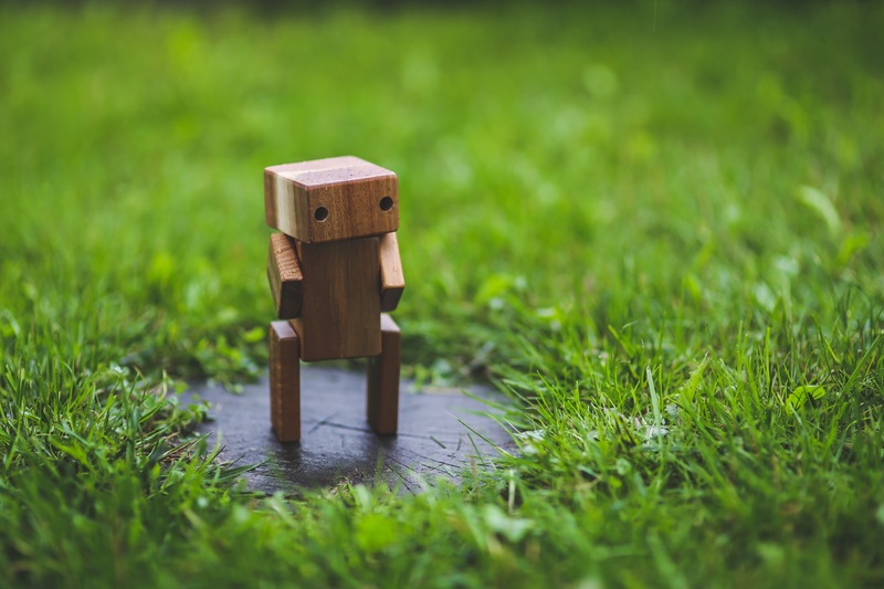 A cute robot standing on grass